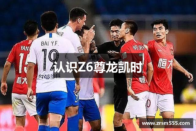 认识Z6尊龙凯时